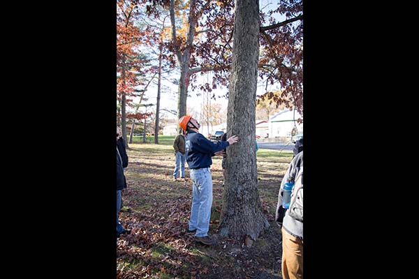 Hazardous Tree ID instructor Steve Chisholm demonstrates how to examine a tree trunk