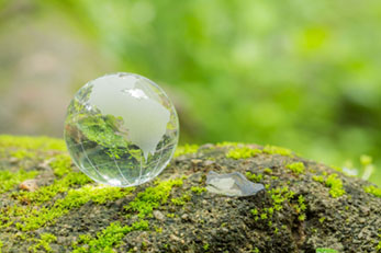 Glass globe on mossy rock representing environmental training