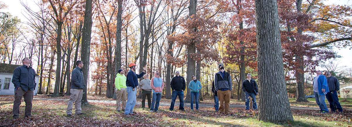 Hazardous Tree Identification students standing outside looking up at trees