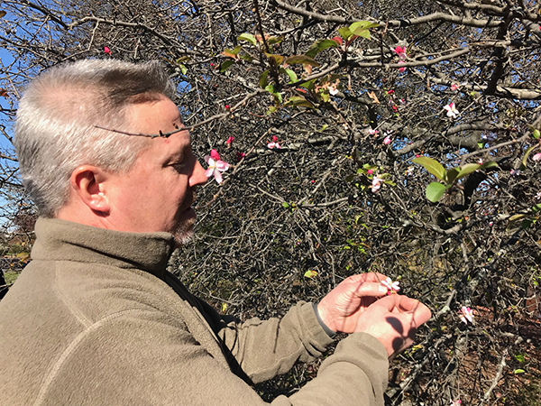 Ted Szczawinski explains how to unlock plant identification clues found in flowers.