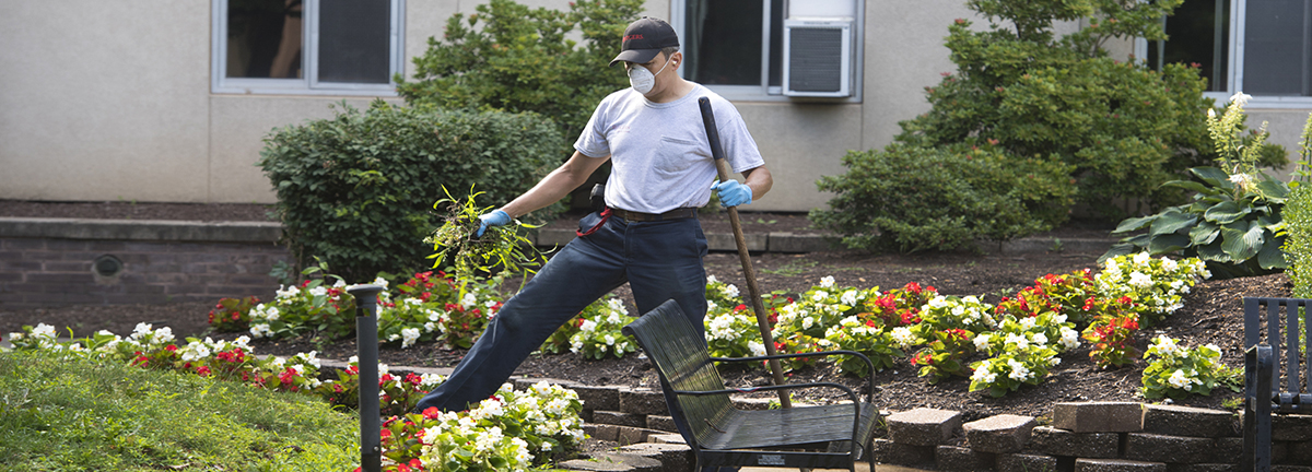 Rutgers College Avenue Campus Housing grounds worker Juan Castiblanco pulls weeds while landscaping outside Brett Hall