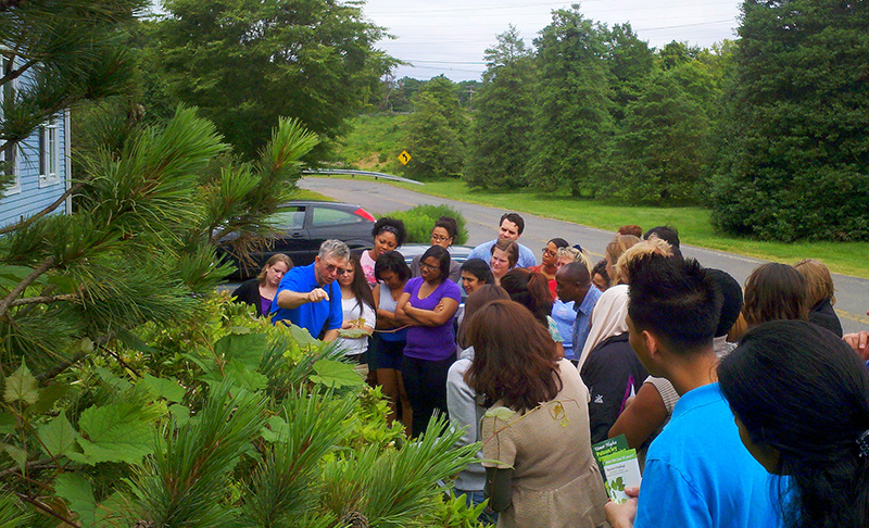EPH students learn how to identify nuisance plants during an outdoor lecture