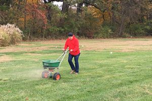 Man in red shirt pushing pesticide spreader over grass field