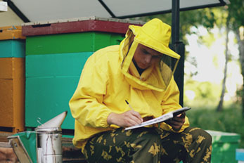 Young man beekeeper writing in notebook while sitting near beehives