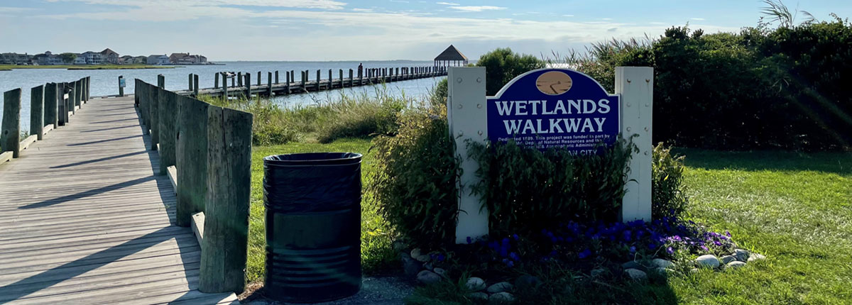 Wetlands Walkway sign next to wooden walkway leading through wetlands area