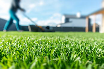 Close up of green backyard lawn with person pushing lawn mower in the background