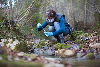 Female scientist collecting water sample from stream