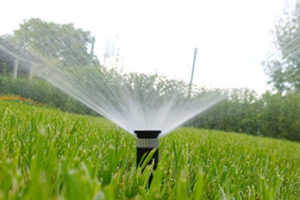 Irrigation system sprinkler head spraying water in grassy yard