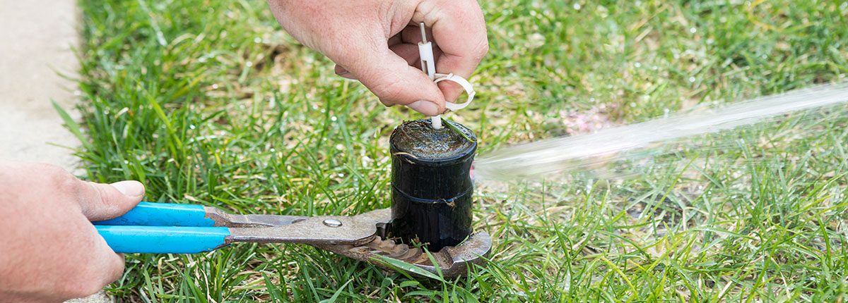 Sprinkler Head Adjustment for Home Lawn Irrigation System