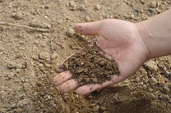 hand scooping a handful of soil from a pile
