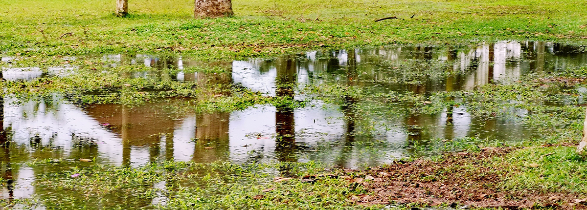 Low lying grass area flooded with rainwater